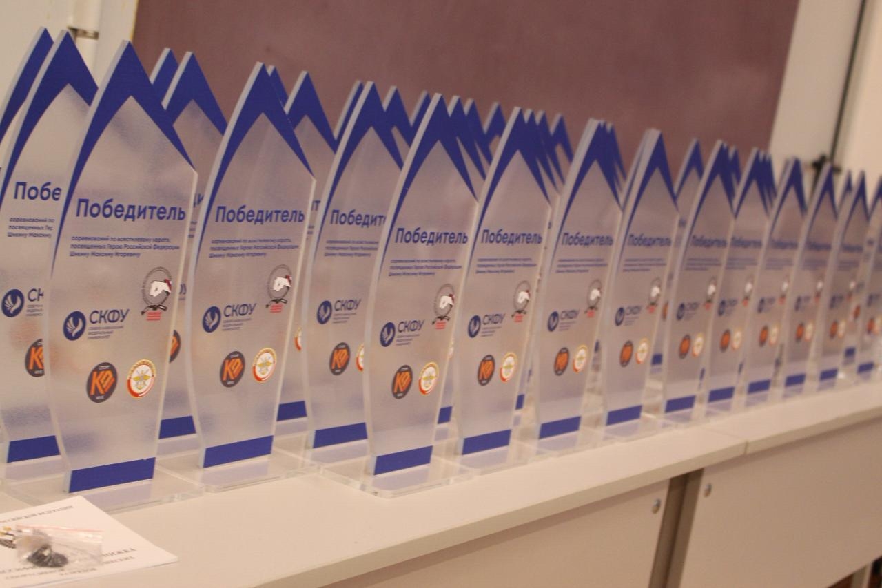 Турнир по всестилевому каратэ в честь Героя Российской Федерации гвардии майора Шикина Максима Игоревича,